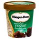 Haagen Dazs chocolate fudge brownie frozen yogurt Calories