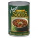 hearty organic soup ready to serve, rustic italian vegetable