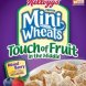 kellogg 's frosted mini-wheats touch of fruit in the middle, mixed berry
