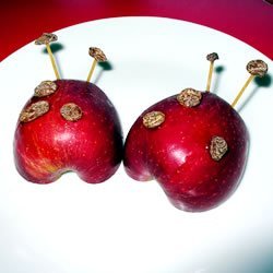 Apple Ladybug Treats
