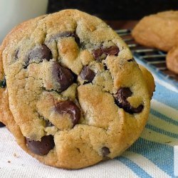 The Ultimate Chocolate-Chip Cookies