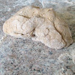 Herbed Whole Wheat Pizza Dough