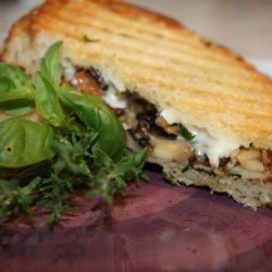 Grilled Wild Mushroom and Brie Cheese Sandwich