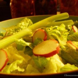 Salad With Radish and Green Onions