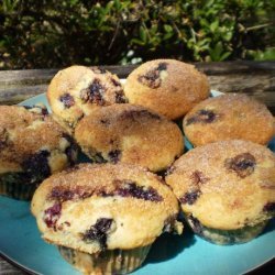 Fresh Blueberry Sour Cream Muffins