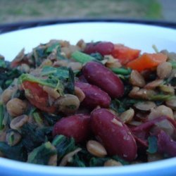 Kidney Bean and Spinach Curry