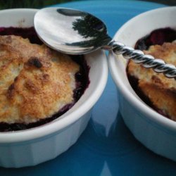 Blueberry Cobblers for Two - 4 Ww Points
