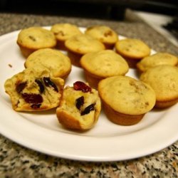 Blueberry (Or Chocolate Chip) Mini Muffins