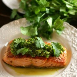 Salmon With Lime and Cilantro Sauce