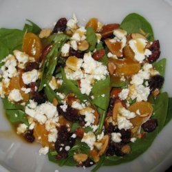 Cran-Orange Spinach Salad