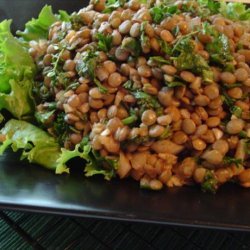 Lentil and Spinach Salad With Onion, Cumin and Garlic