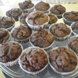 Gorgeous Chocolate Muffins