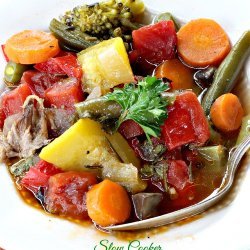Can Can Slow Cooker Vegetable Soup