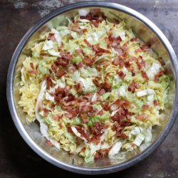 Hungarian Cabbage & Noodles