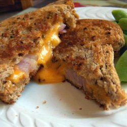Toasted Roasted Cheese and Onion Sandwich
