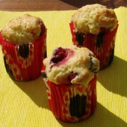 Orange-Cranberry Muffins for Diabetics
