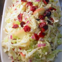 Coleslaw With Apples & Dried Cranberries