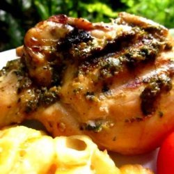 Grilled Chicken With Moroccan Spices