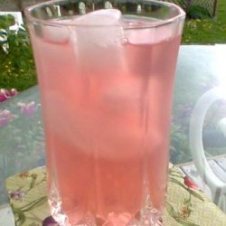 Iced Rhubarb Tea