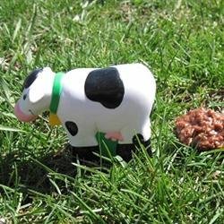 Cow Patty Cookies
