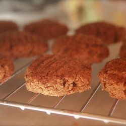 Fat Free Gingerbread Cookies