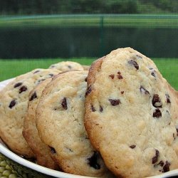 Shirley Corriher's Chocolate Chip Cookies, Medium Version