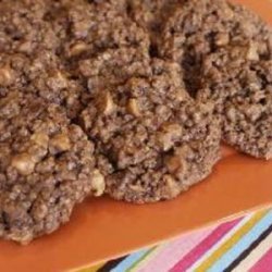 Chocolate-Lovers Oatmeal Delights