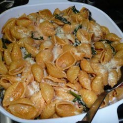 Baked Shells With Fresh Spinach and Pancetta