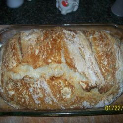 No Knead Italian Rustic Bread - Recipe Has been Corrected!