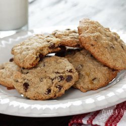 Low Fat Cocoa Cookies