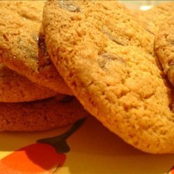 Spicy Choc Chip Cookies