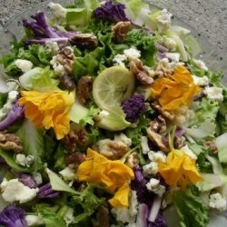 Chicory-Endive Roquefort  and Walnut Salad