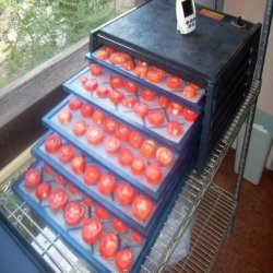 Dehydrating Tomatoes