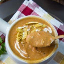 Cheesy Chicken Enchilada Soup