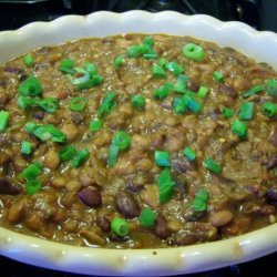 Spicy Beans Tex-Mex (Crock Pot)