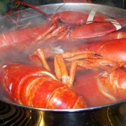 How to Boil a Lobster