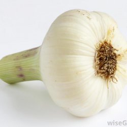 Storing Garlic in Oil