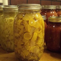 Bread and Butter Squash pickles
