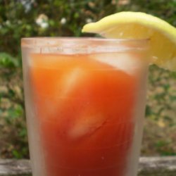 Spicy Cajun Bloody Mary Mix