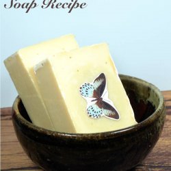 Basic Castile Soap