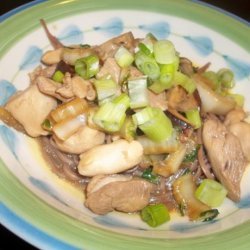 Savory Chicken With Asian Noodles
