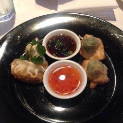 Pork and Spinach Potstickers