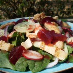 Cranberry-Turkey Spinach Salad