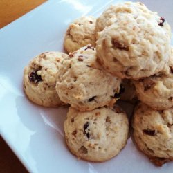 Raisin-Sunflower Seed-Vanilla-Cookies