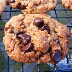 Crunchy Toffee Chocolate Chip Cookies