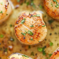 Scallops With Lemon Butter