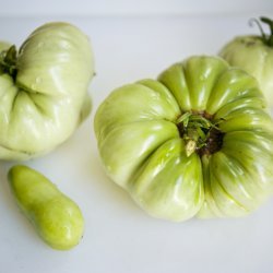 Green Fried Tomatoes