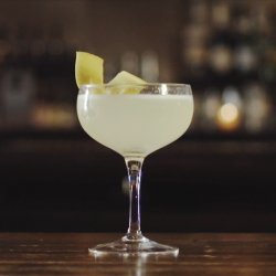Negroni Cocktail II