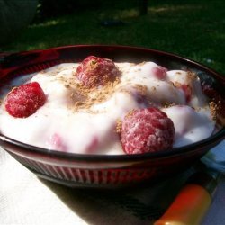Quick and Healthy Raspberry Yogurt Treat