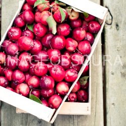 Apple or Crabapple Jelly